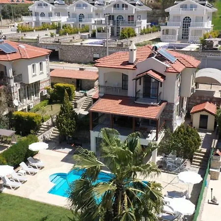 Avilia * פאטהיה